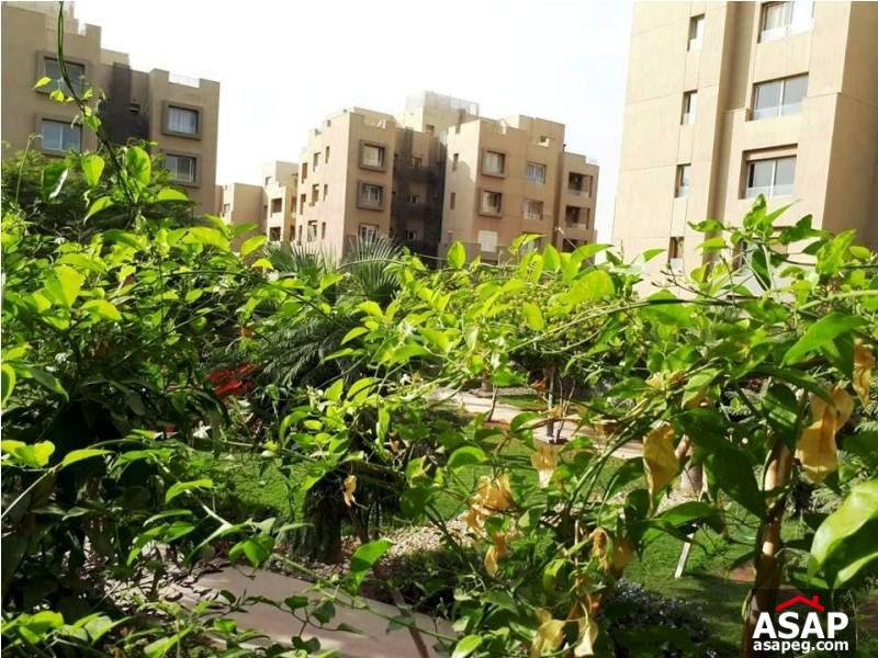 Studio for Rent in the Village Studio for Rent in the Village