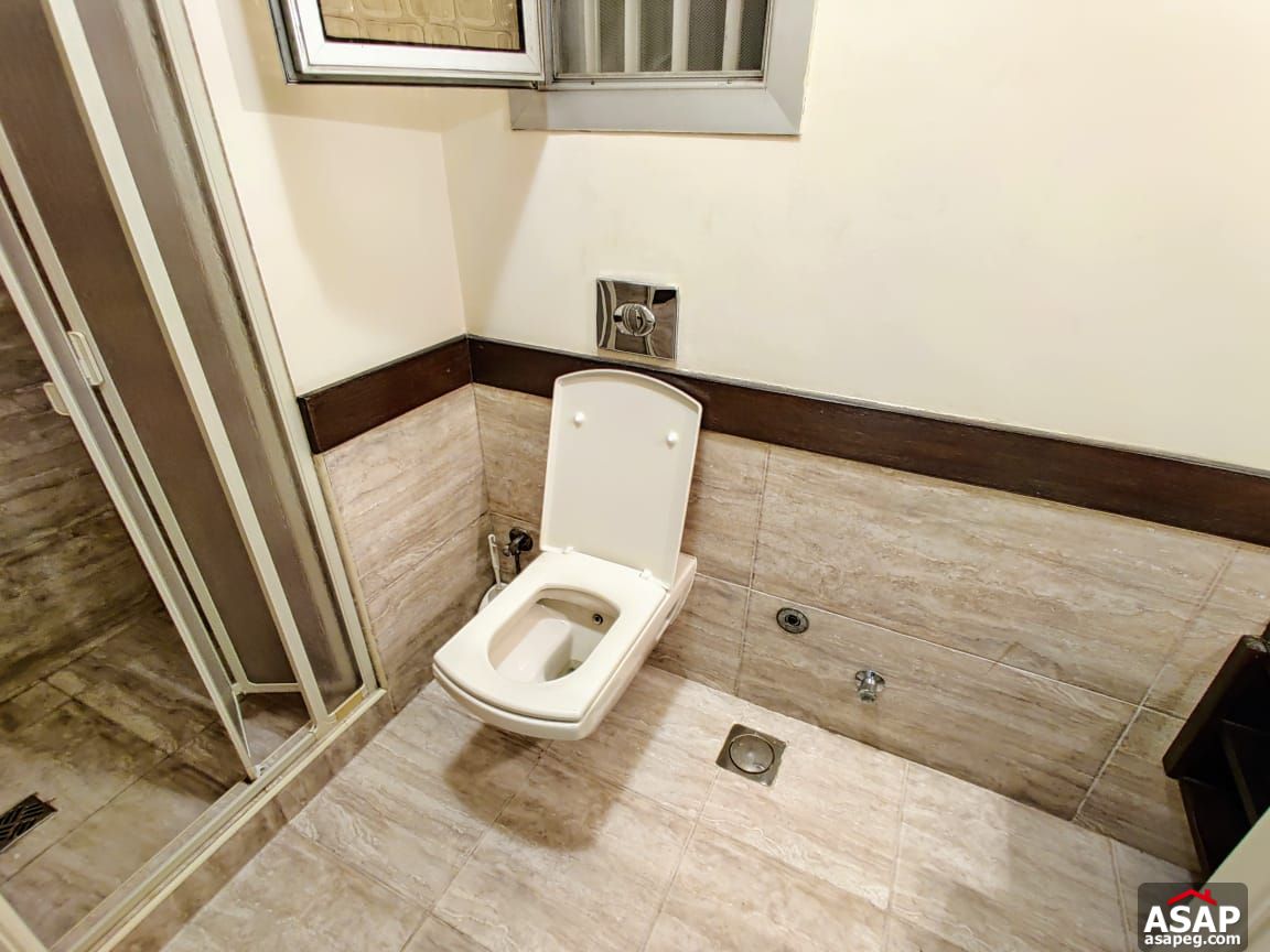 Apartment for Rent in Zamalek Apartment for Rent in Zamalek