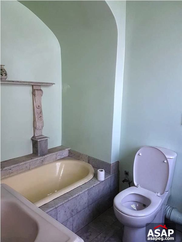 Duplex with Roof for Sale in Zamalek Duplex with Roof for Sale in Zamalek