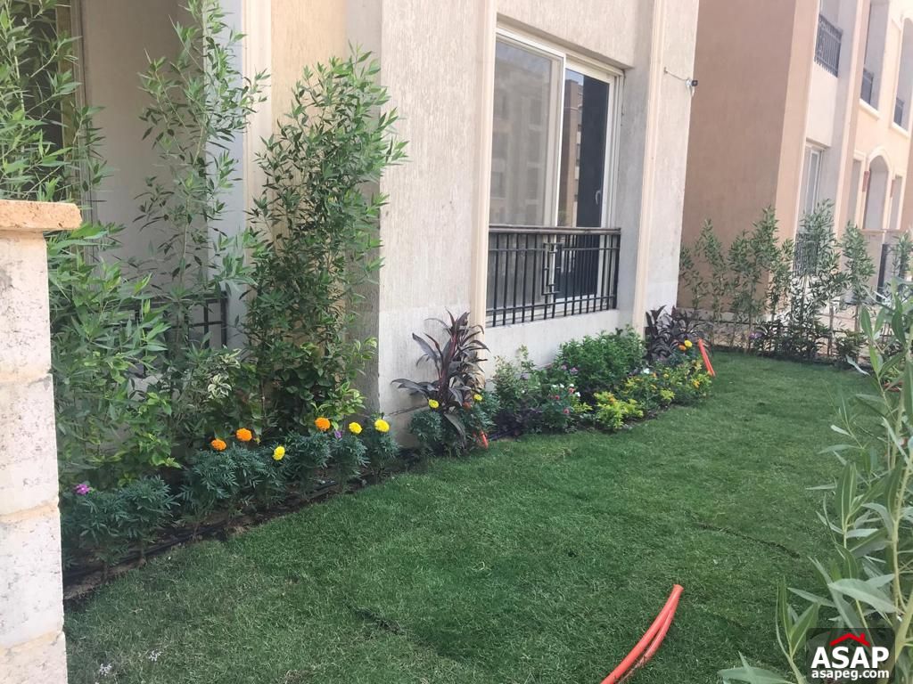 Ground Floor for Rent in Stone Residence