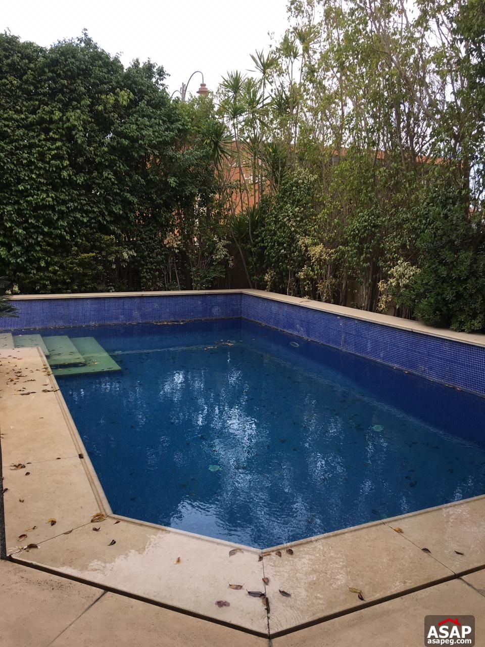 Twin House with Pool for Rent in Katameya Residence Twin House with Pool for Rent in Katameya Residence