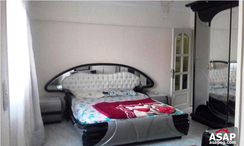 Furnished Duplex for Rent in Dokki Furnished Duplex for Rent in Dokki