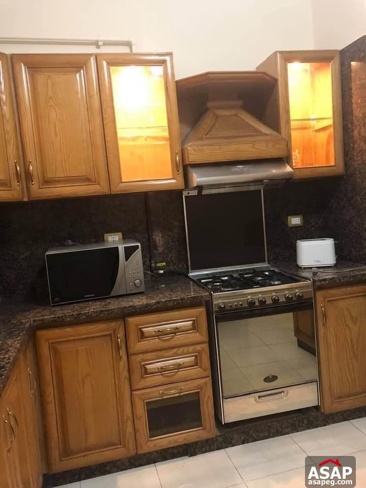 Apartment for Rent in Zamalek Apartment for Rent in Zamalek