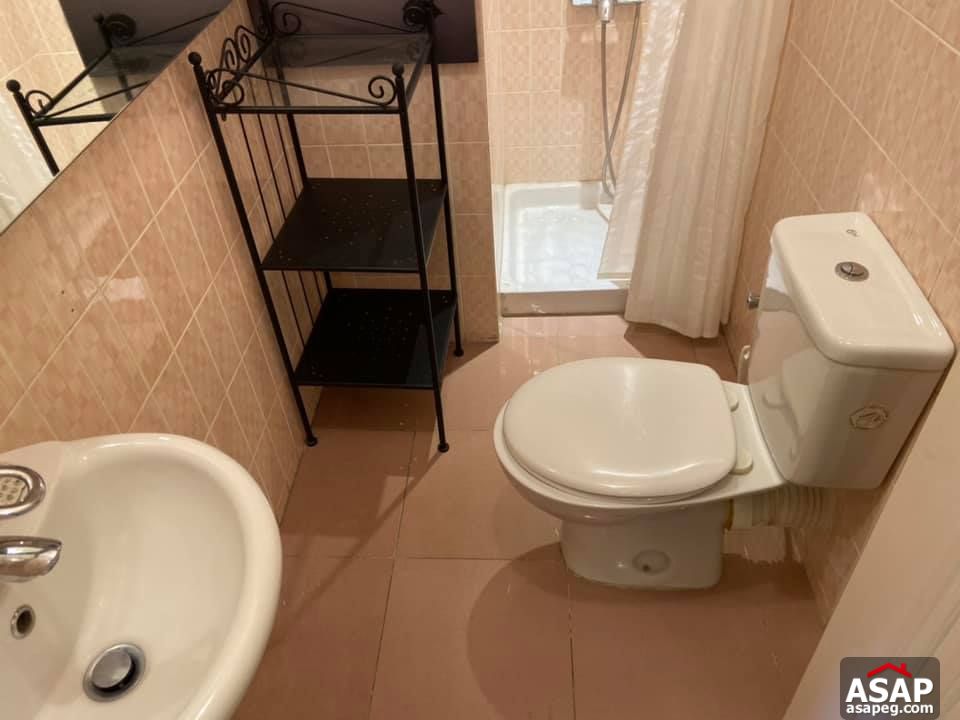 Apartment for Rent in Zamalek Apartment for Rent in Zamalek