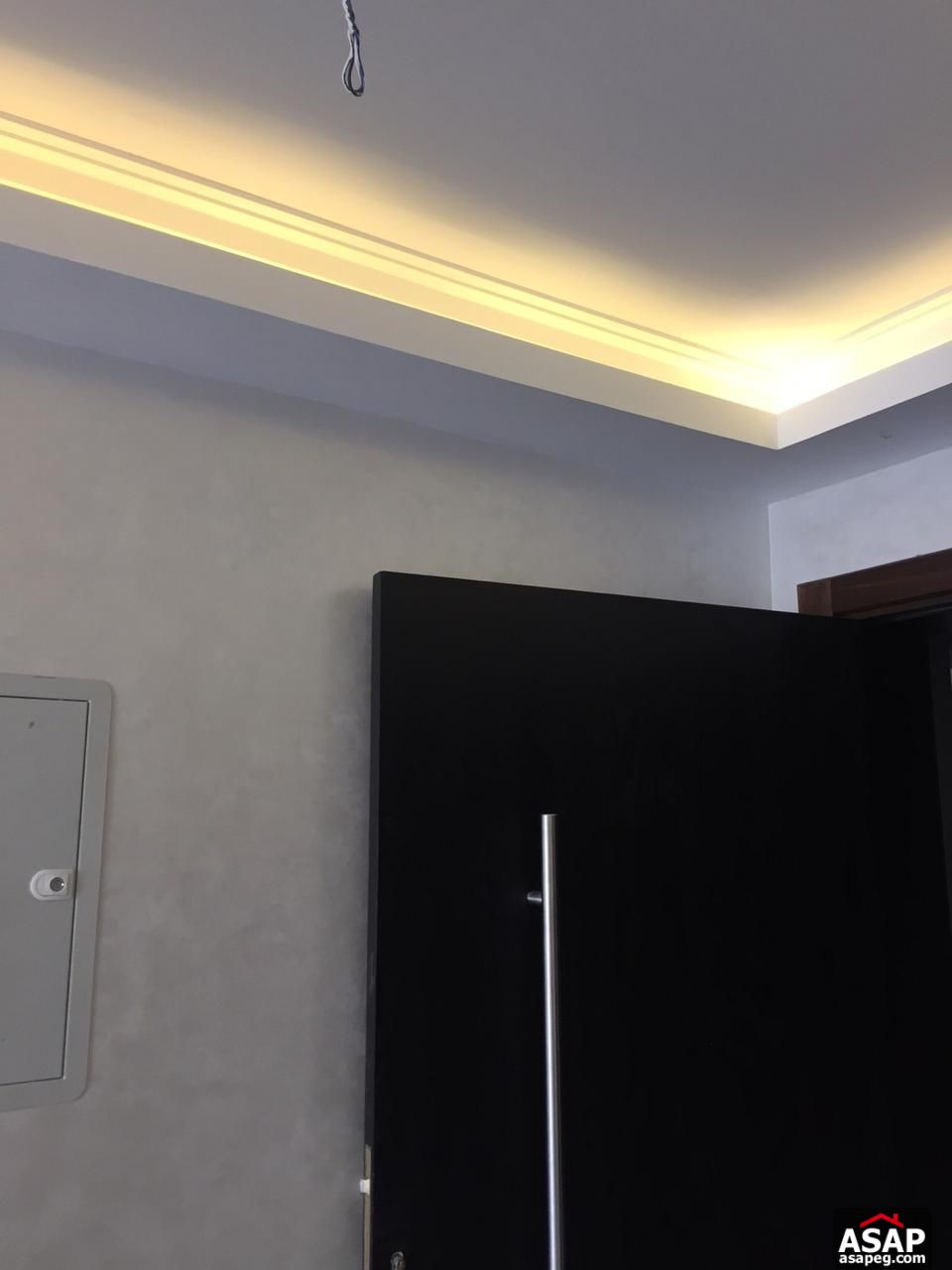 Modern Flat with Pool View for Rent in The WaterWay Modern Flat with Pool View for Rent in The WaterWay