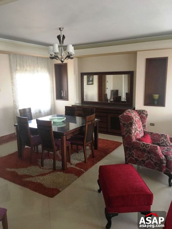 Furnished Apartment with Nile View in Dokki