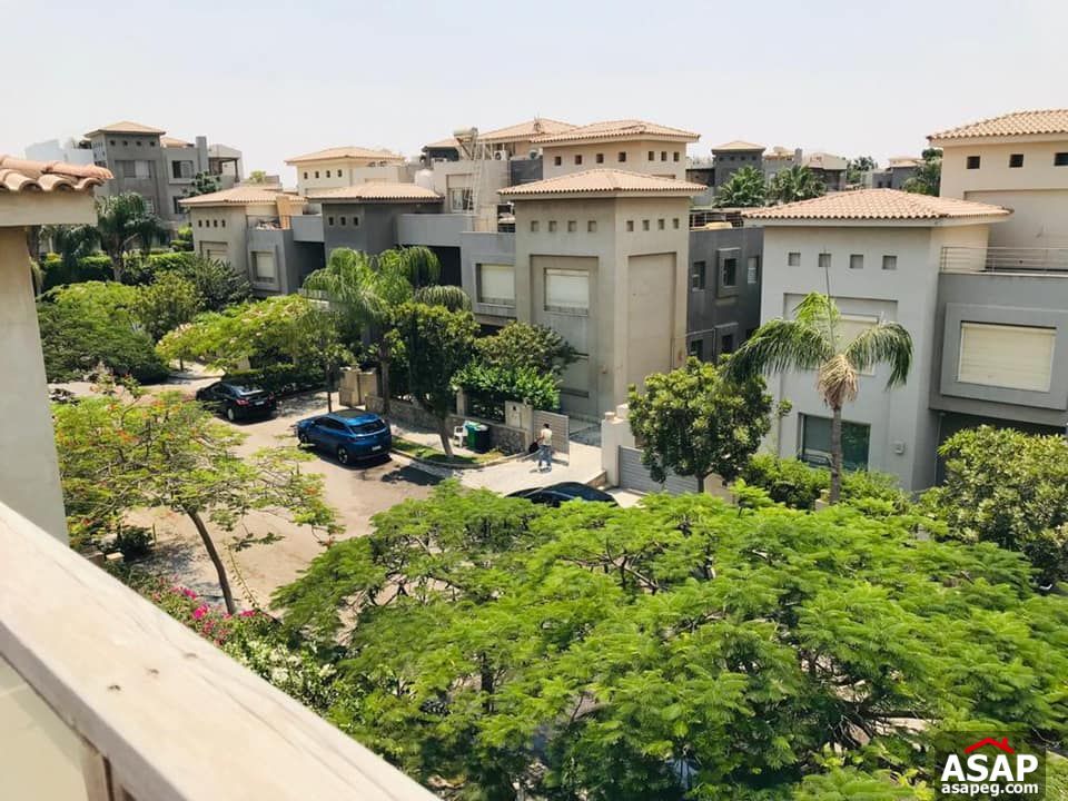 Penthouse for Rent in Bamboo Palm Hills Penthouse for Rent in Bamboo Palm Hills