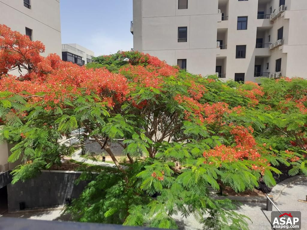 Apartment for Sale in the WaterWay Compound Apartment for Sale in the WaterWay Compound