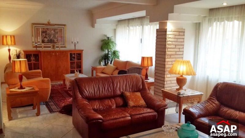 Furnished Apartment with Big Terrace in Zamalek Furnished Apartment with Big Terrace in Zamalek