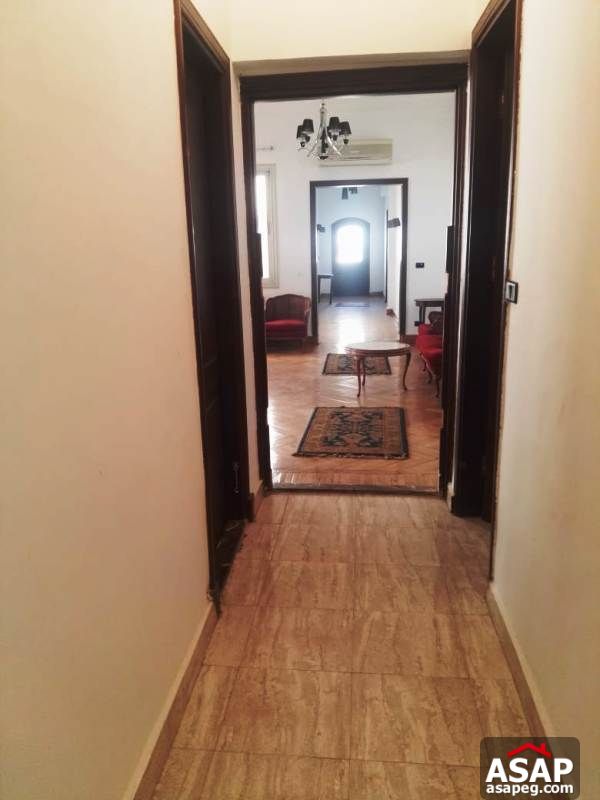 Apartment with Big Roof for Rent in Zamalek Apartment with Big Roof for Rent in Zamalek