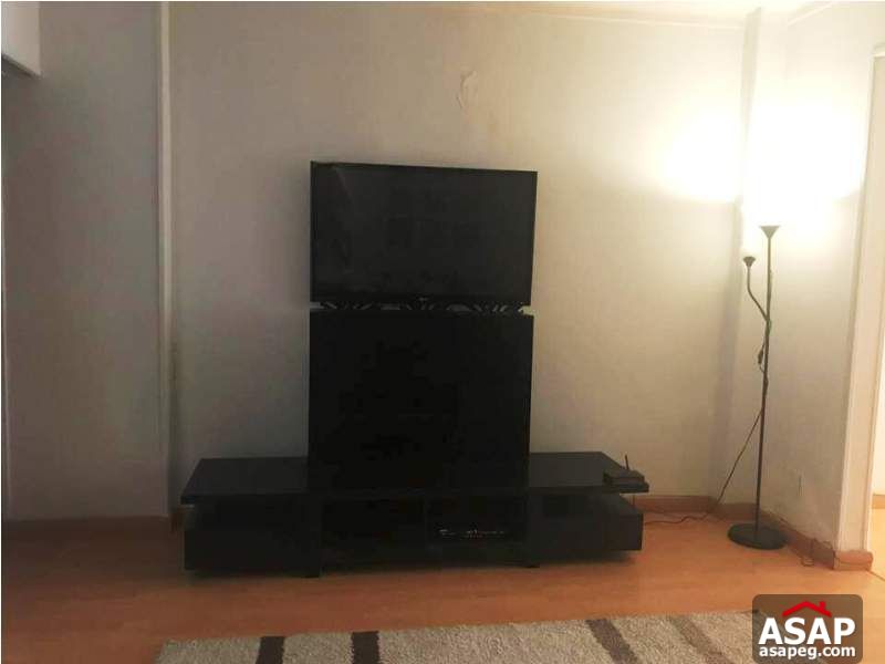 Nice Property in Zamalek for Rent Nice Property in Zamalek for Rent