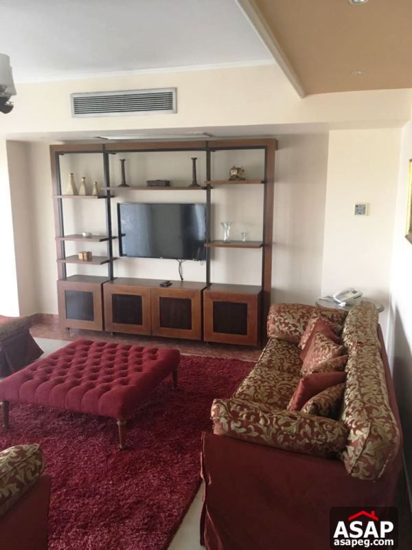 Furnished Apartment with Nile View in Dokki