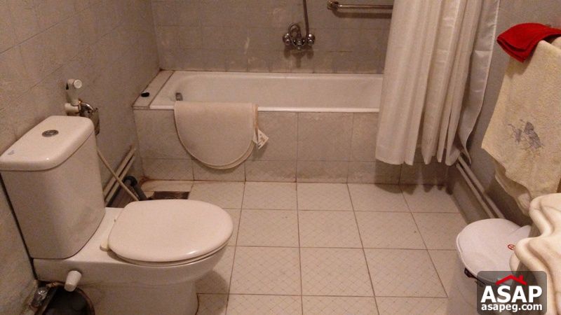 Furnished Apartment with Nile View in Zamalek Furnished Apartment with Nile View in Zamalek