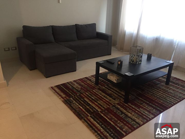 Furnished Studio for Rent in Village Gate Furnished Studio for Rent in Village Gate