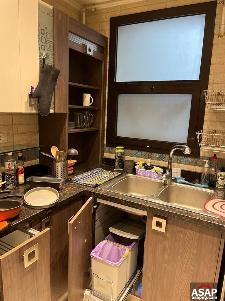 Furnished Apartment for Rent in Eastown