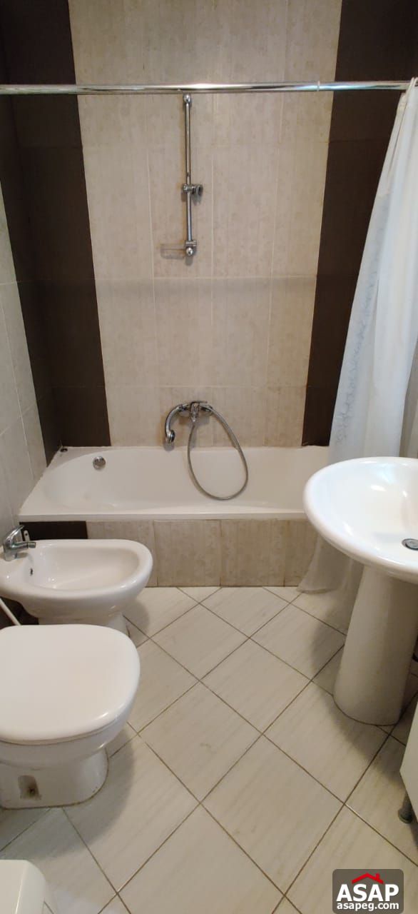 Apartment for Rent in Zamalek Apartment for Rent in Zamalek