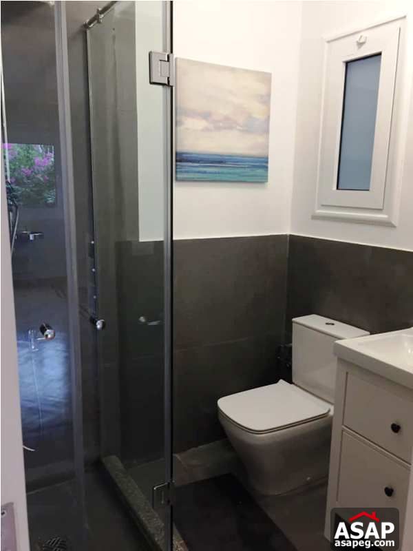 Nice Flat for Rent in Zamalek Nice Flat for Rent in Zamalek