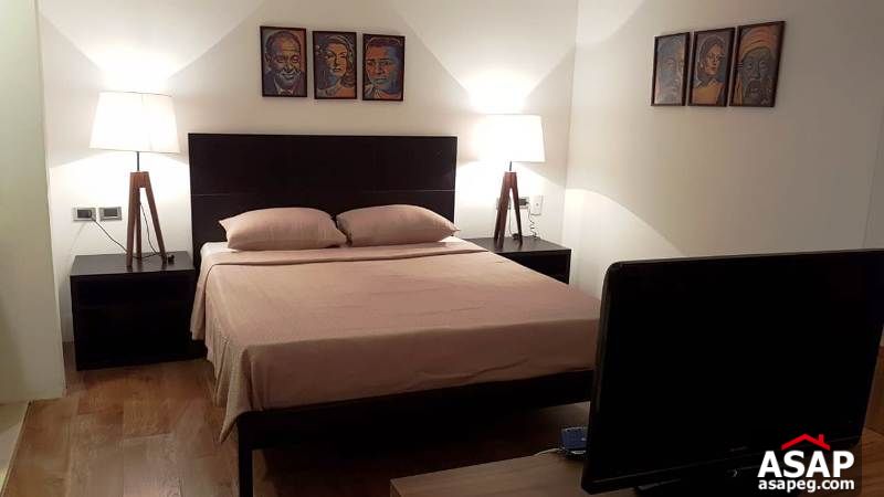 Furnished Studio for Rent in Maadi Furnished Studio for Rent in Maadi