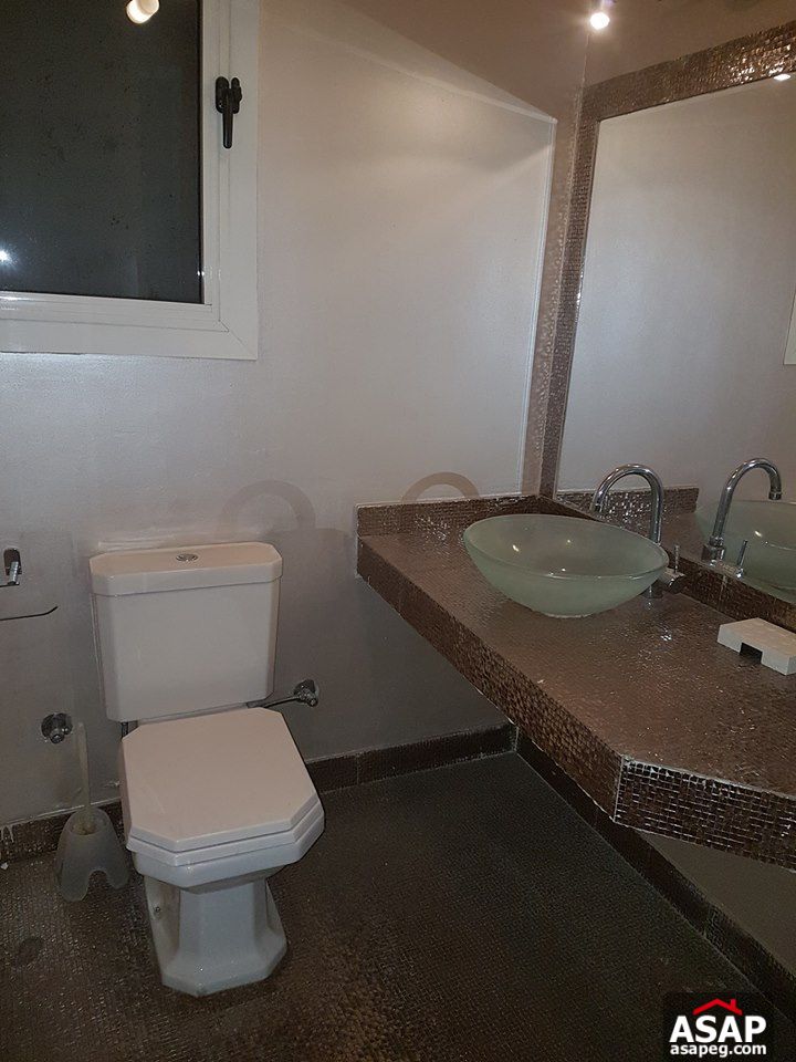 Apartments for Rent in Zamalek Apartments for Rent in Zamalek