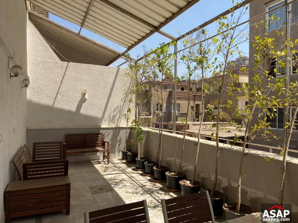 Apartment for Rent in Zamalek Apartment for Rent in Zamalek