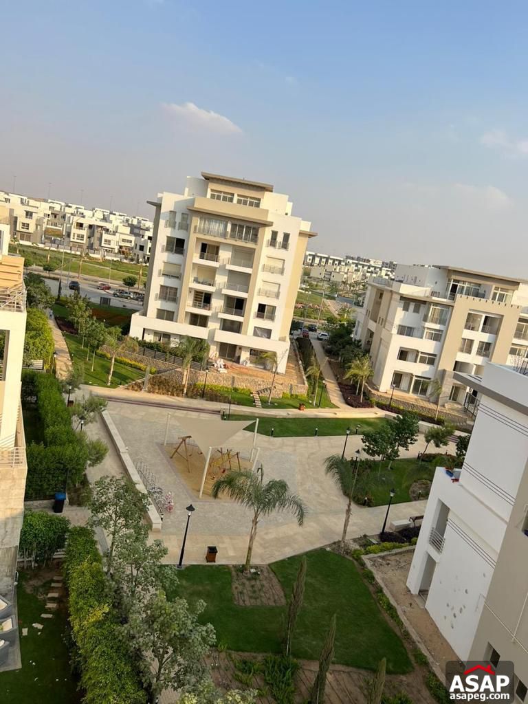 Furnished Apartment for Rent in Hyde Park