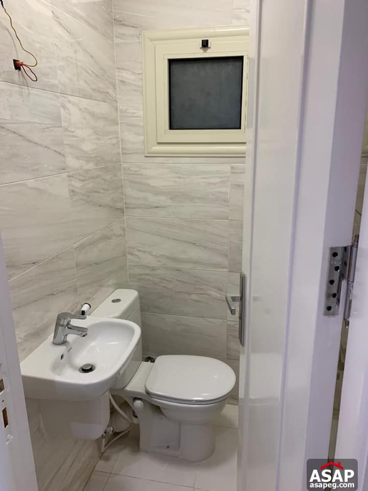 Flat for Rent in Zamalek Flat for Rent in Zamalek