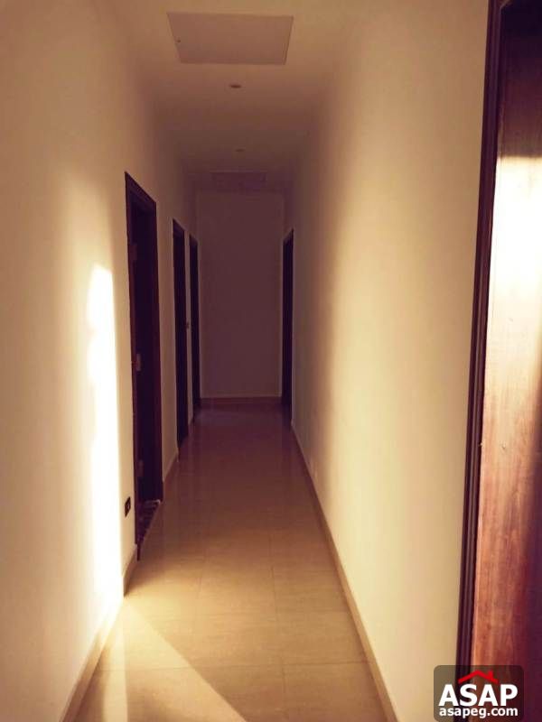 Apartment for Rent in Lake View Apartment for Rent in Lake View