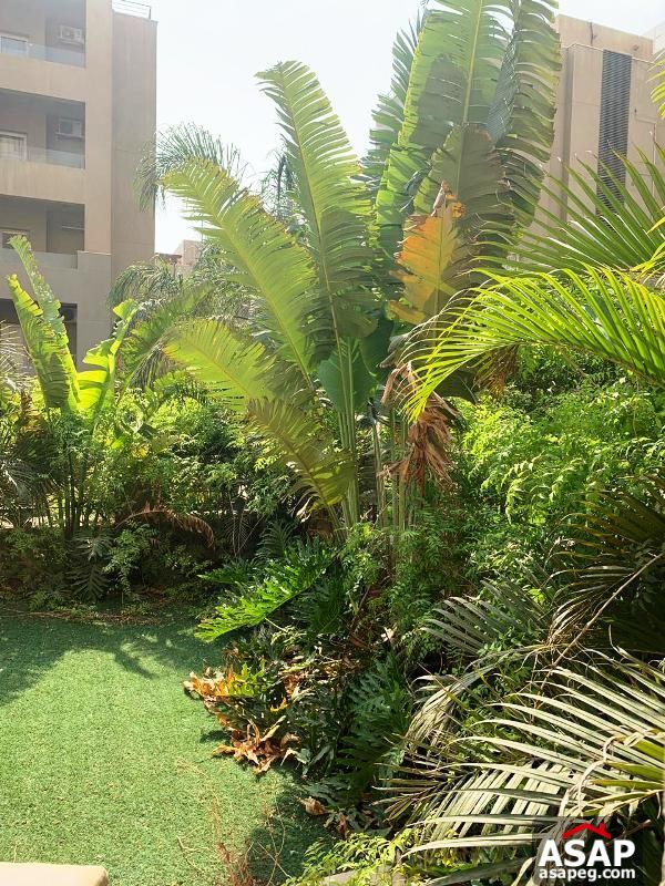 Apartment with Garden for Rent in the Village Apartment with Garden for Rent in the Village