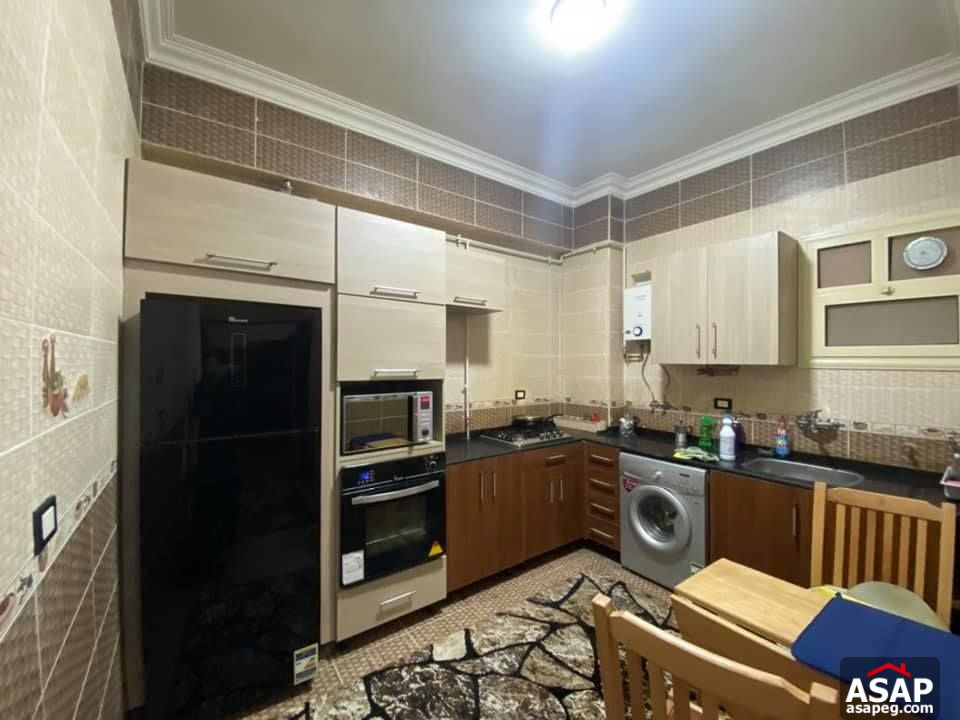 Apartment for Rent in Zamalek Apartment for Rent in Zamalek