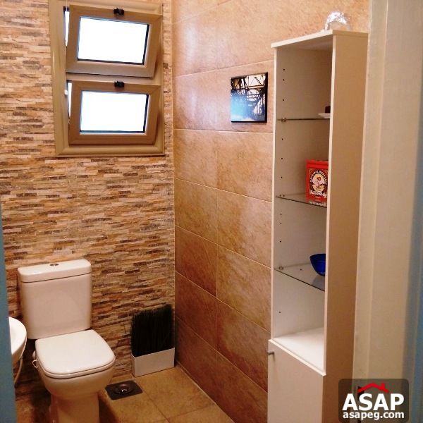 Apartment for rent in zamalek Apartment for rent in zamalek