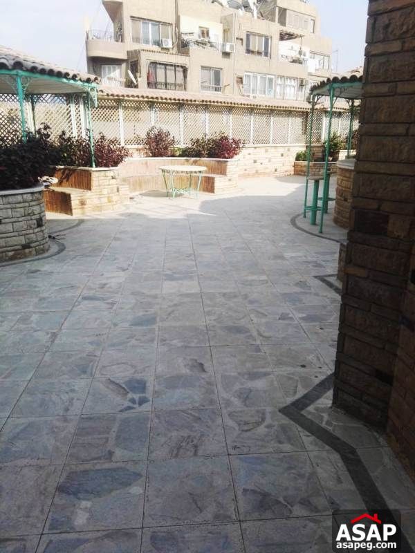 Apartment with Big Roof for Rent in Zamalek Apartment with Big Roof for Rent in Zamalek