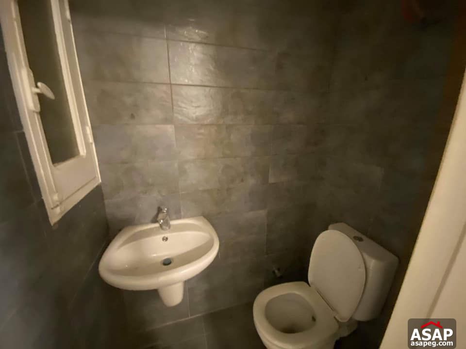 Apartment for Rent in Zamalek Apartment for Rent in Zamalek