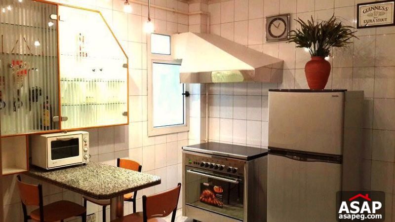 Furnished Apartment with Big Terrace in Zamalek Furnished Apartment with Big Terrace in Zamalek