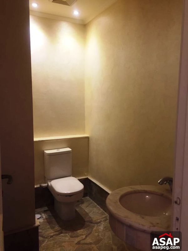 Apartment with Nile View in Zamalek