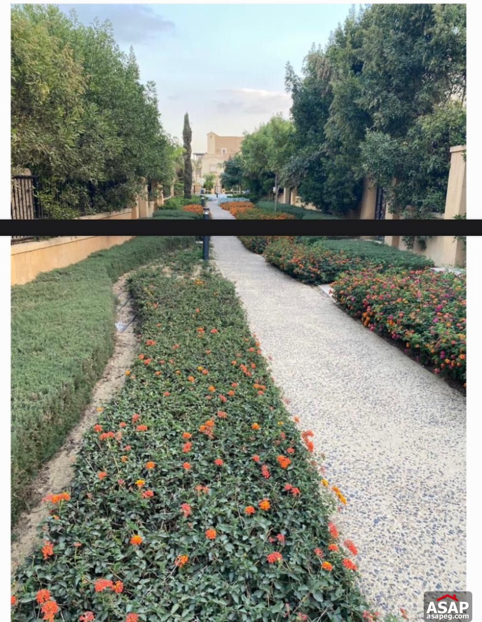 Twin House for Rent in Mivida Compound Twin House for Rent in Mivida Compound