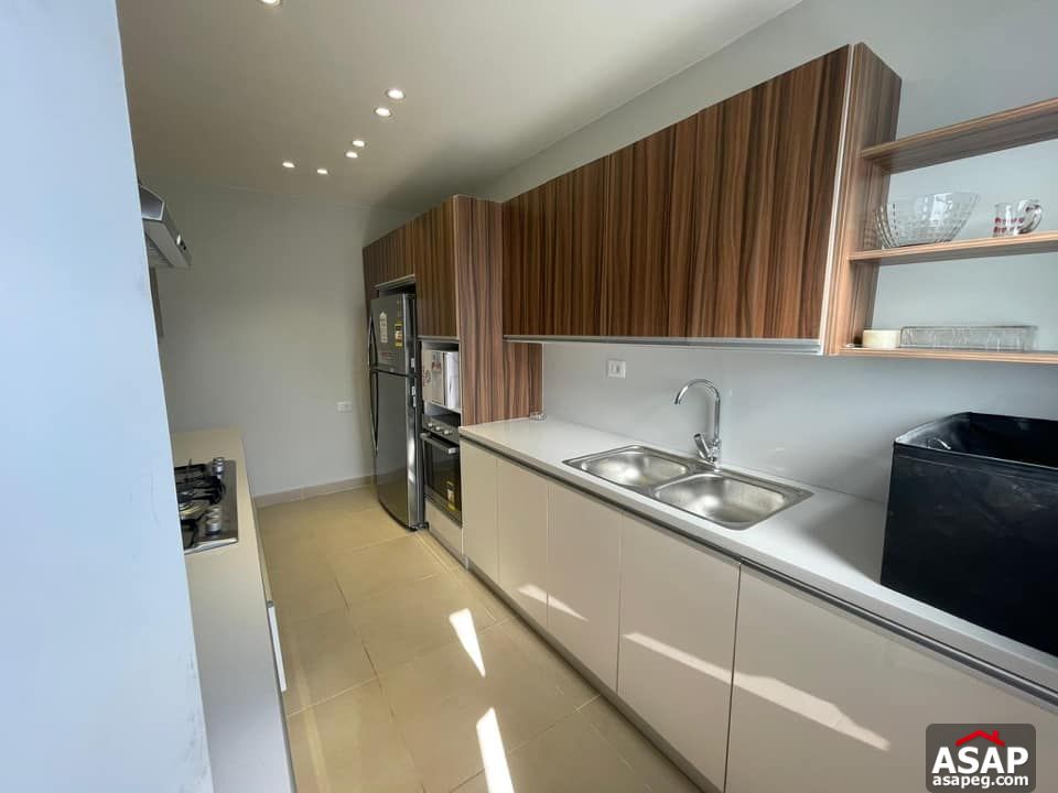 Apartment for Rent in Zamalek Apartment for Rent in Zamalek