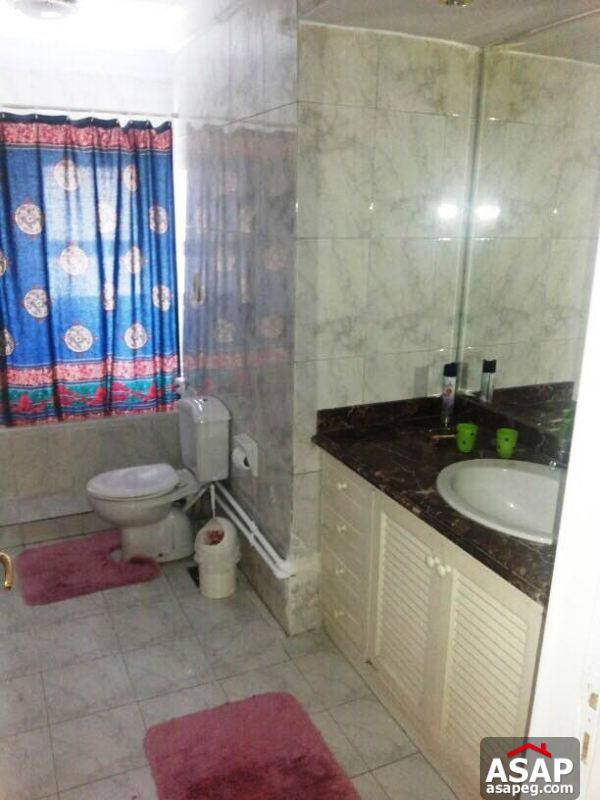 Apartment for rent in zamalek Apartment for rent in zamalek