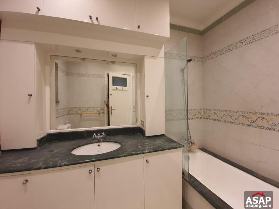 Apartment for Rent in Zamalek Apartment for Rent in Zamalek