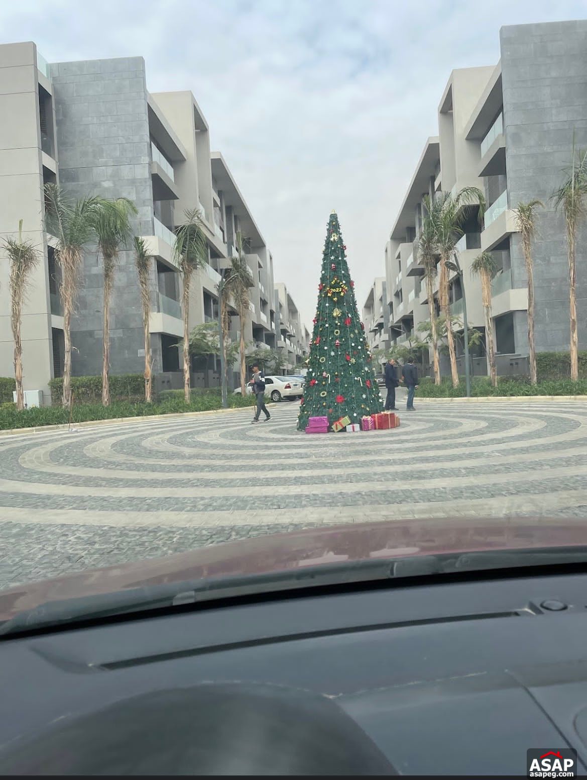 Penthouse for Rent in El Patio Casa Compound