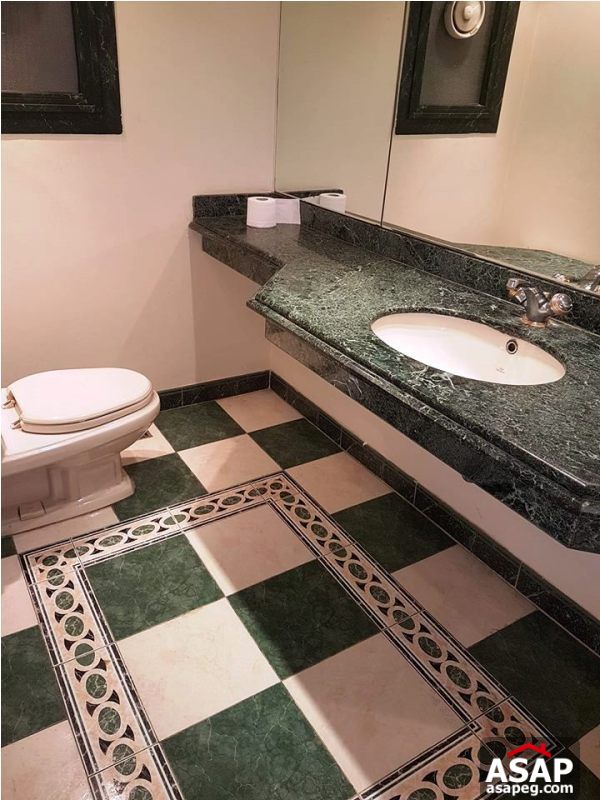 Duplex with Big Terrace for Rent in Zamalek Duplex with Big Terrace for Rent in Zamalek