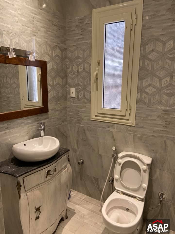 Apartment for Rent in Zamalek Apartment for Rent in Zamalek