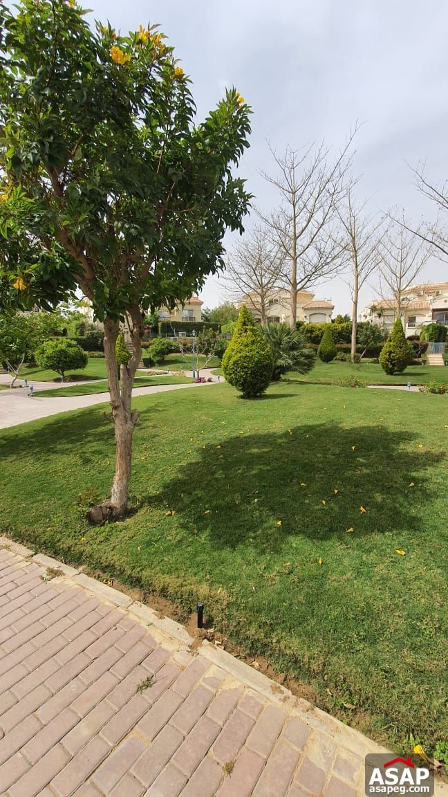 Stand Alone with Lake View for Rent in El Patio Compound Stand Alone with Lake View for Rent in El Patio Compound