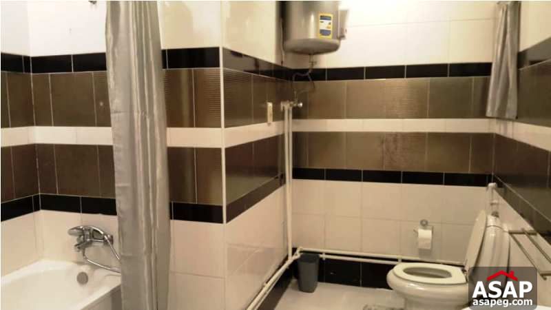 Furnished Flat for Rent in Zamalek Furnished Flat for Rent in Zamalek