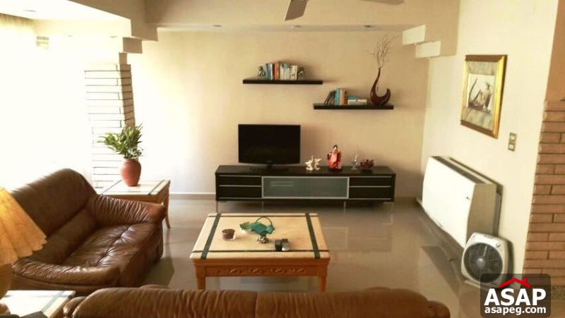 Furnished Apartment with Big Terrace in Zamalek Furnished Apartment with Big Terrace in Zamalek