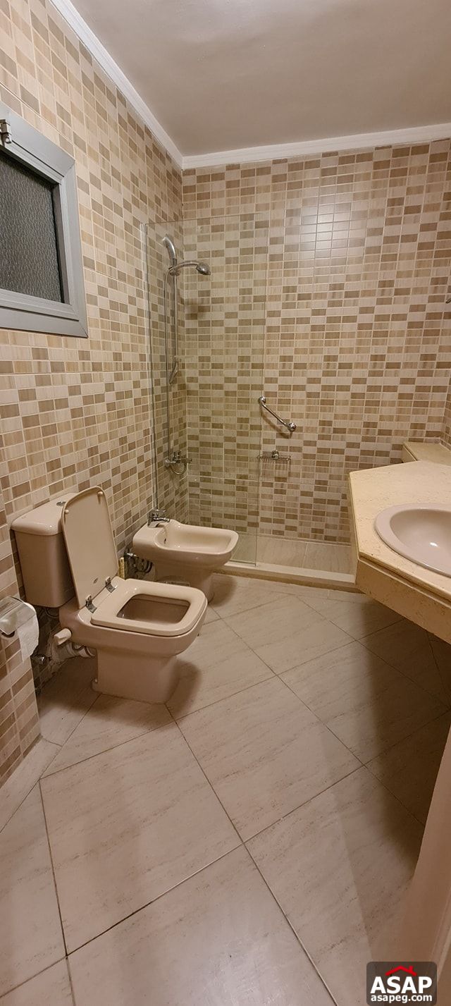 Apartment for Rent in Zamalek Apartment for Rent in Zamalek