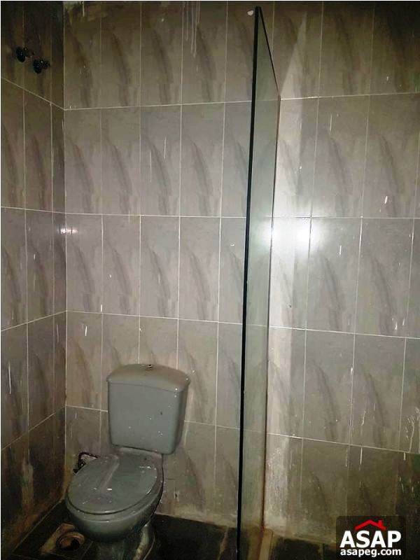 Apartment for Rent in Zamalek Apartment for Rent in Zamalek