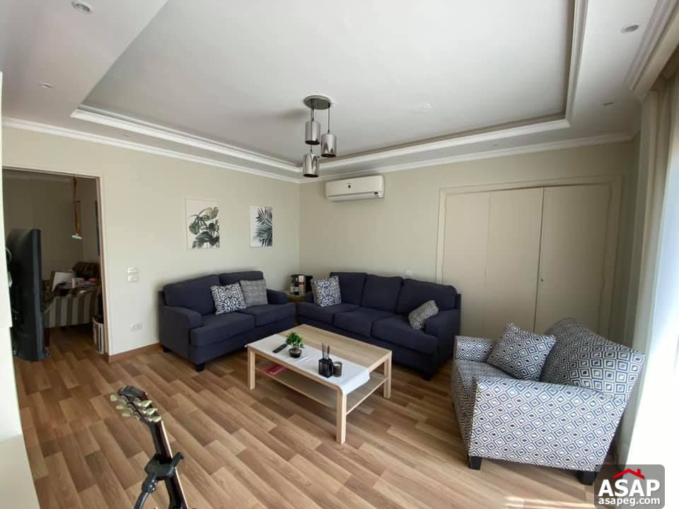 Apartment for Rent in Zamalek Apartment for Rent in Zamalek