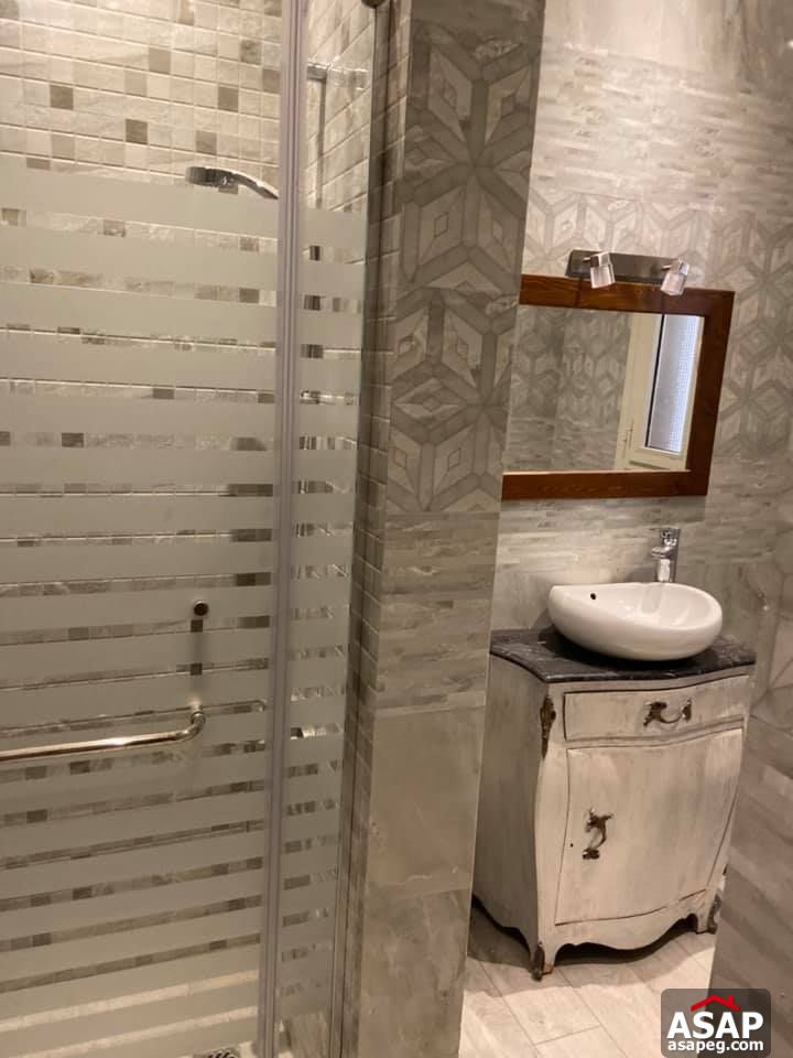 Apartment for Rent in Zamalek Apartment for Rent in Zamalek