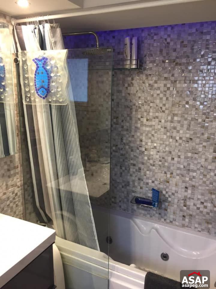 Furnished Flat for Rent in Zamalek Furnished Flat for Rent in Zamalek