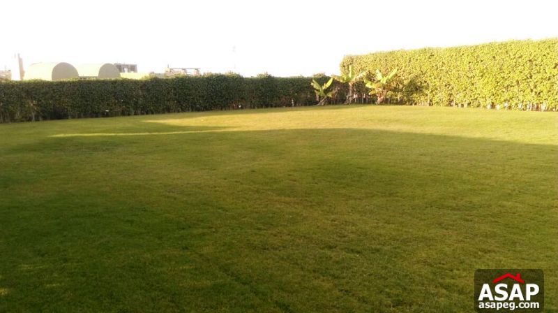 Villa for Rent in Allegria